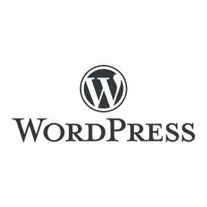 Brandaft dijital ajans, tasarım ve içerik yönetimi çözüm ortağı WordPress.