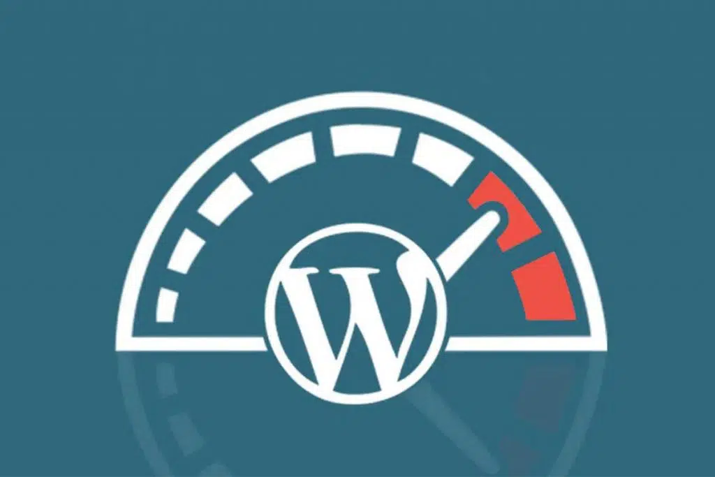 wordpress site hızlandırma eklentisi