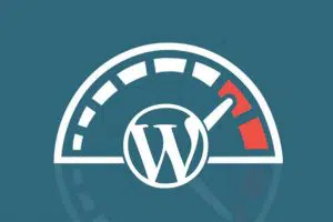 wordpress site hızlandırma eklentisi