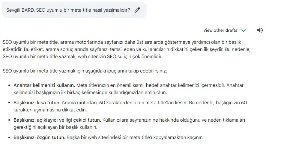 seo-uyumlu-meta-title-nasil-yazilir