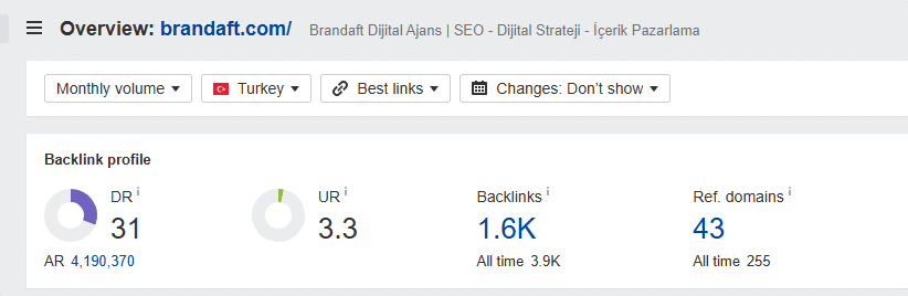 ahrefs backlink profil analizi