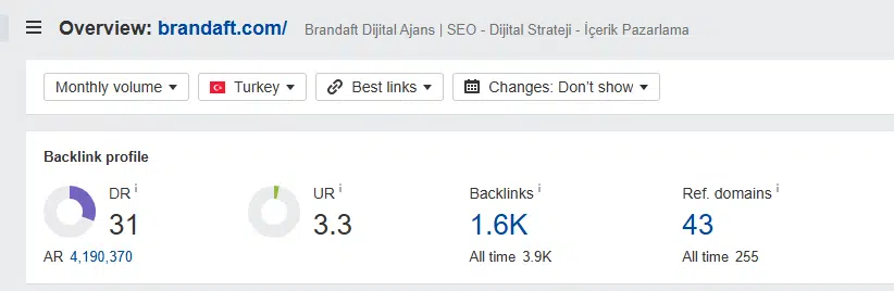 ahrefs backlink profil analizi