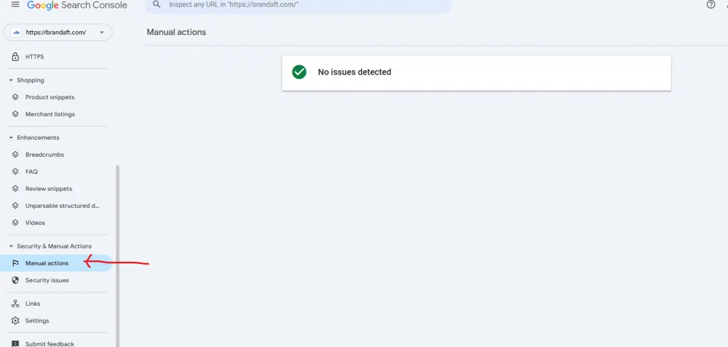 google-manuel-ceza