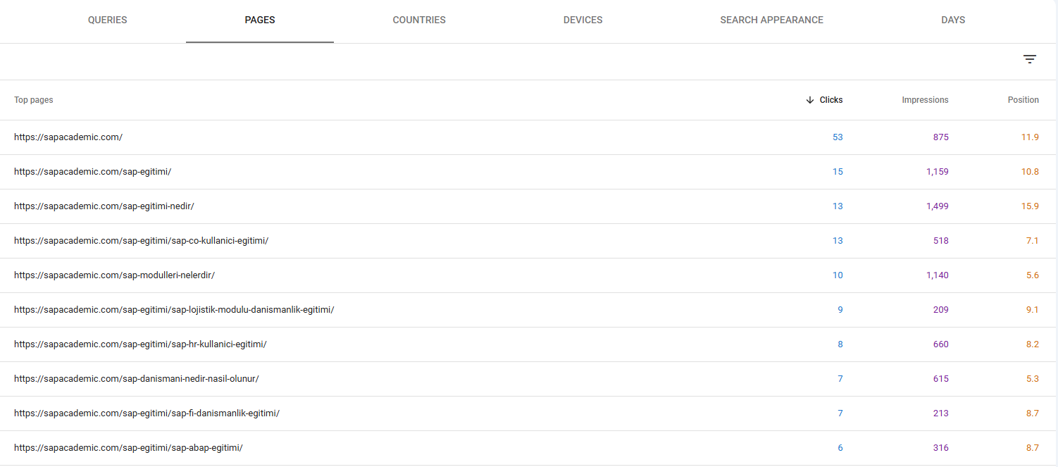 sapacademic-seo-calismalari