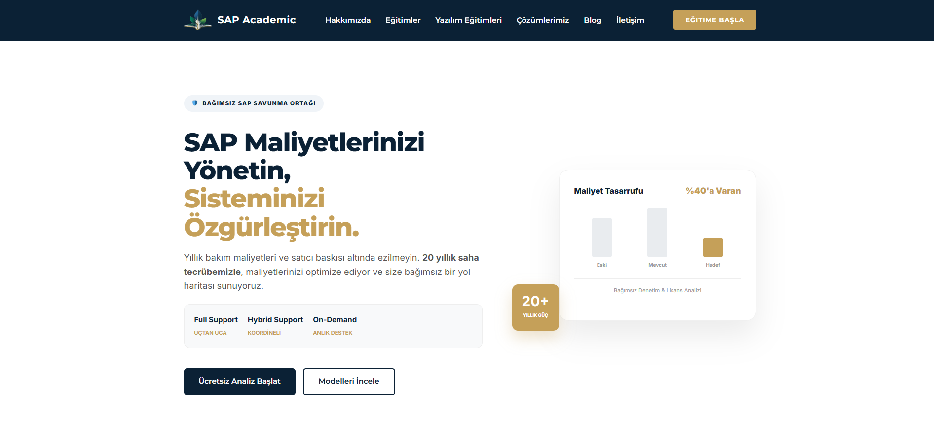 sapacademic-websitesi-arayuzu